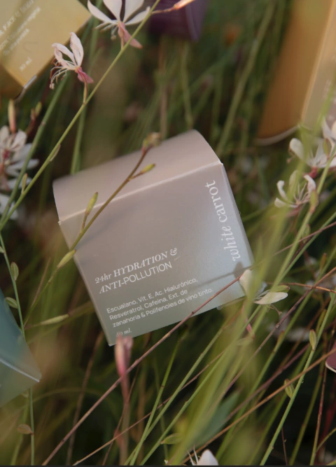 24hr HYDRATION & ANTI-POLLUTION en internet