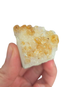 Citrino - comprar online