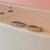 Argola Slim Cravejada - comprar online