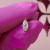 OURO - Navete - comprar online