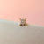 Labret Estrelar na internet