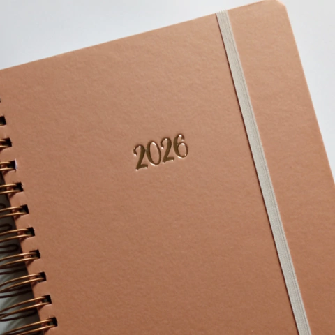 Agenda diária 2026 - ARGILA - comprar online