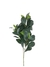 Rama hojas 80cm - comprar online