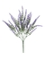 Ramo lavanda en internet