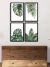 Cuadro nature 30x40