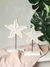 Set x2 estrellas de mar