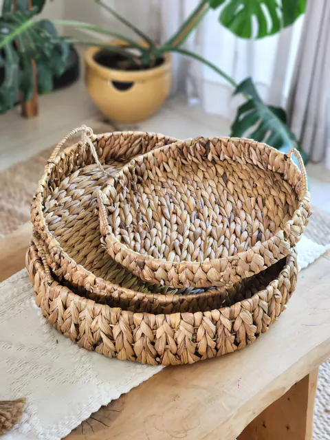 Bandeja Lupe seagrass