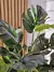 Planta artificial monstera - comprar online