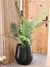 Planta artificial areca - comprar online