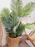 Planta artificial areca en internet
