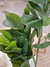Planta artificial Pandurata - 150cm - comprar online