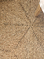 Alfombra Star en internet