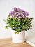 Eucalipto y Flores con Maceta 20x18CM
