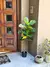 Planta artificial pandurata - 130cm - comprar online