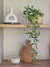 Rama colgante 78cm - comprar online