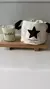 Contenedor star - comprar online