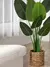 Planta artificial banano