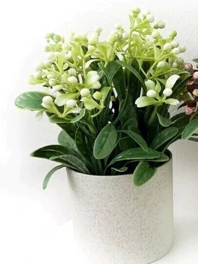 Maceta con plantin y frutos 15x18cm