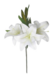 Vara de tiger lily 58 cm en internet