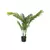 Planta artificial areca - Magnolias