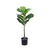 Planta artificial pandurata x70cm en internet
