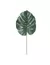 Rama monstera 70 cm en internet