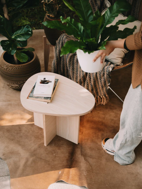 Mesa Baja Organica - comprar online