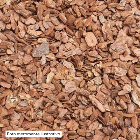 Casca de Pinus Vegetal Decorativa 2 Litros - Terra de Minas
