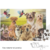 Quebra Cabeça Amizade Cachorros Fofos 250 Peças 50x35cm - Toia - comprar online