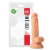 PENIS REALISTIC C/ESCROTO VENTOSA 16X3,5CM 3545 na internet