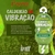 GEL PORCOES CALDEIRAO DA VIBRACAO GROSELHA 6593 na internet