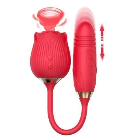 SUGADOR FLOR DUPLO 10 MODOS C/ PENIS VAI E VEM 6028 - comprar online