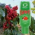 GEL TERMICO BEIJAVEL 15ML GUARANA YUMMY 6559 - comprar online
