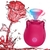 SUGADOR E MASSAGEADOR DISIGN ROSA FLOWERS 6636 - comprar online