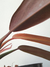 Philodendron bicolor na internet