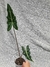 Alocasia sarian na internet