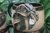 Caneca rhaphidophora - comprar online