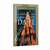 Livro O extraordinário crescimento da fé