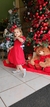 Vestido Nathália Vermelho Bordado Cerejinha - loja online