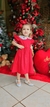 Vestido Nathália Vermelho Bordado Cerejinha - comprar online