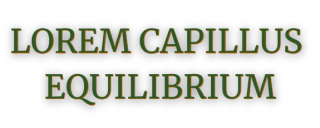 Lorem Capillus Equilibrium