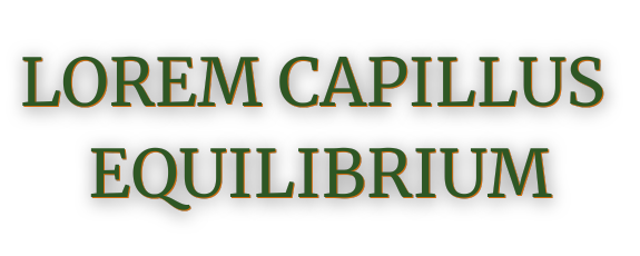 Lorem Capillus Equilibrium