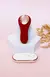 Charlotte - Vibrador de calcinha com controle remoto na internet