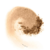 Pó Facial Solto Boca Rosa Beauty by Payot at