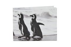 Billeteras de Papel Tyvek® - Monkey Wallets® - Pinguinos