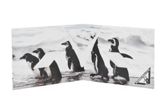 Billeteras de Papel Tyvek® - Monkey Wallets® - Pinguinos en internet