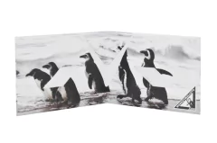 Carteiras de Papel Tyvek® - Monkey Wallets® - Pinguinos na internet