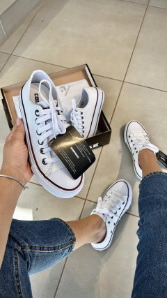 ALLSTAR CONVERSE SINTÉTICO - Tay calçados