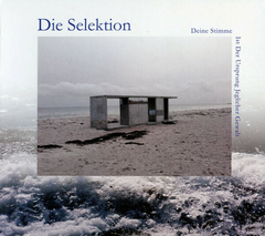 Die Selektion – Deine Stimme Ist Der Ursprung Jeglicher Gewalt