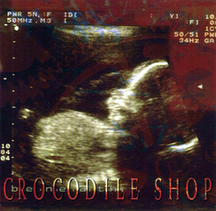 Crocodile Shop – Beneath